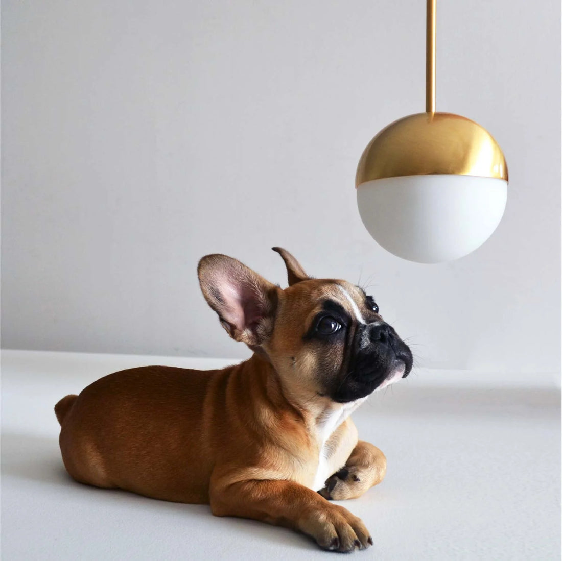 Nice ceiling lights, designer ceiling lamps, lights for dining area, modern interior light fixtures, modern home light fixture, lights and fixtures, pendant lights and chandeliers, kitchen light fixtures pendant