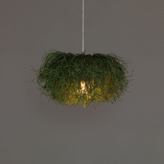 Designer Kitchen hanging light