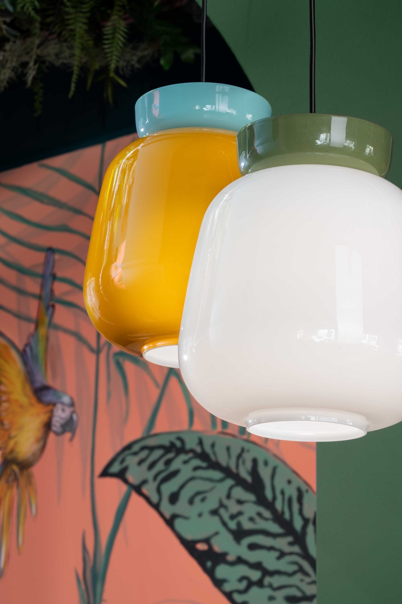 Colourful Tropical pantry home  lights 