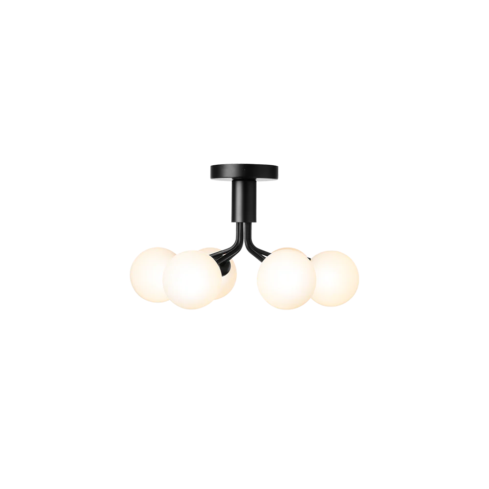 Ceiling-mounted Apiales 6 by Nuura, featuring floral-inspired arms and decorative smoked glass shades for ambient, artistic lighting.

