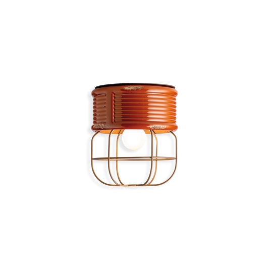 cage ceiling light, caged ceiling lamp, cage ceiling lights and lamps, ceiling light designs, ceiling lights india, colourful ceiling lights, buy lights, shop lights, best ceiling light designs in india